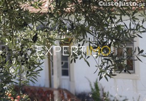 imagem_25