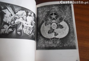 imagem_6