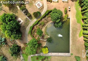imagem_35