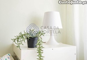 imagem_25