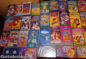 imagem_8