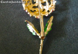imagem_3