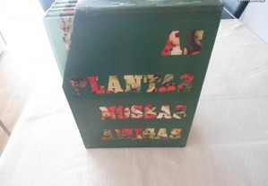 imagem_2