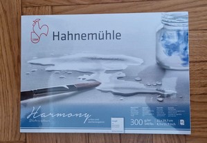 Hahnemühle - Bloco Papel Aguarela Harmony 12 Folhas 300G