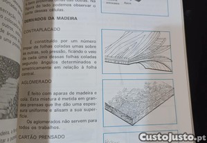 imagem_7