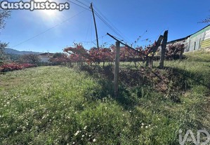 Terreno Agrcola em Fornelos e Queijada
