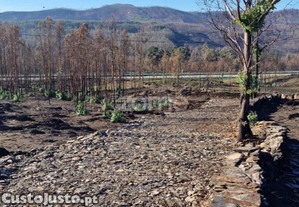 Terreno 36683 M², Frente Para A A41, Aguiar De...