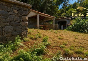imagem_8