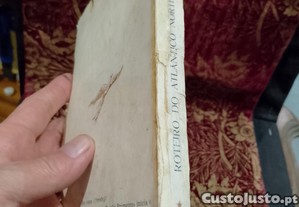 imagem_3