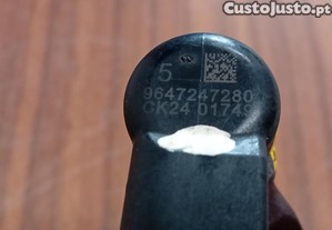 imagem_2
