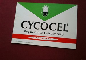 imagem_5