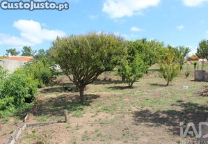 imagem_29