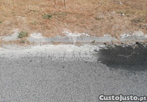 imagem_8