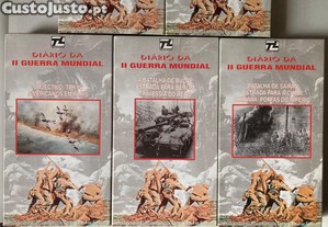 imagem_2