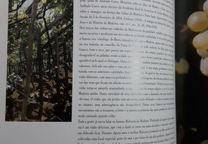 imagem_5