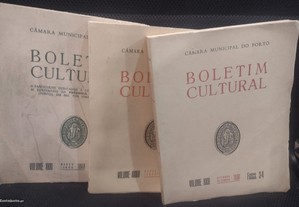 Boletim Cultural da Cidade do Porto 3 unidades