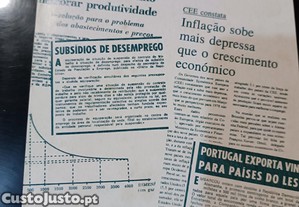 Introduo  Actividade Econmica II