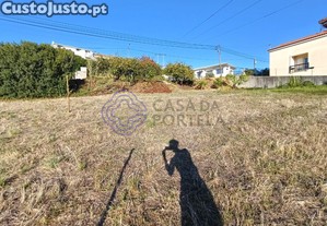 imagem_11