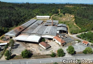 imagem_6