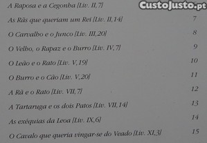 imagem_8