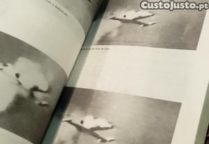 imagem_8