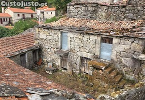 Oportunidade de investimento em macieira de alcôba, águeda