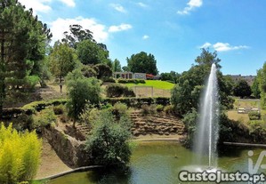 imagem_36