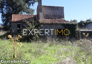 imagem_13