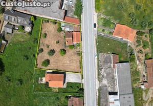 imagem_29