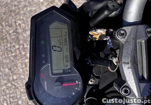 imagem_10