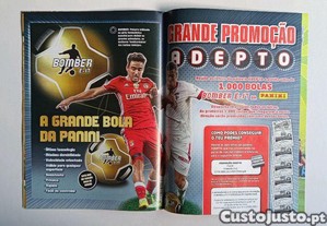 imagem_6
