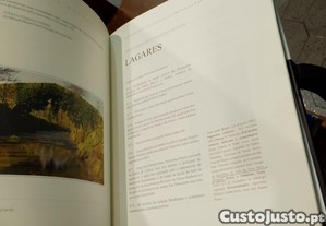 imagem_8