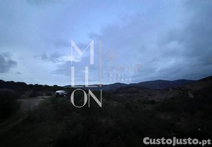 imagem_26