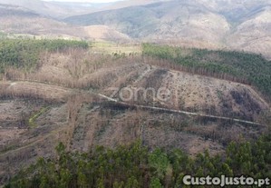 Terreno Florestal Urbanizável Com 7.800 M2 -...