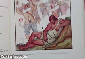 imagem_2