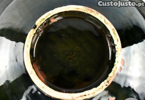 imagem_6
