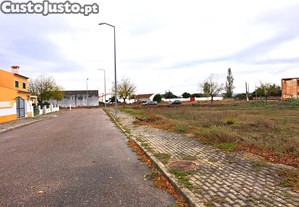 imagem_7
