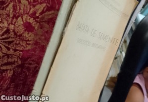 imagem_2