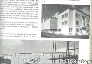 imagem_7