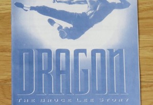 Game Gear: Dragon Bruce Lee