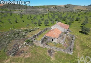 imagem_10