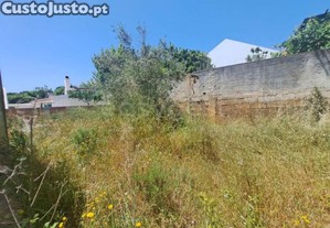 imagem_31
