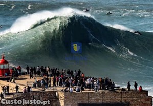 imagem_18