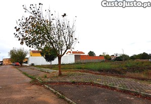 imagem_11