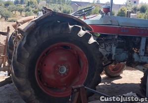 imagem_2