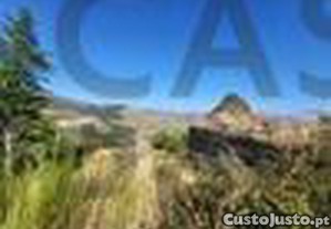 imagem_15