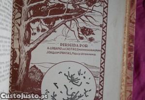 imagem_7