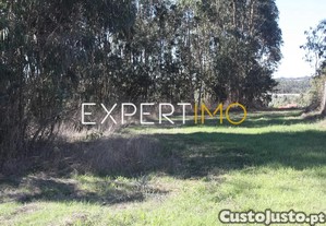 imagem_14