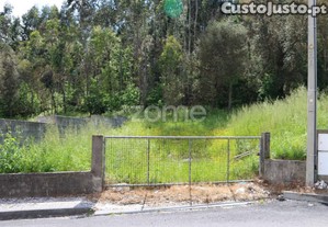 Terreno Com Potencial De Construção - Fajões,...