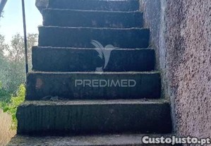 imagem_14